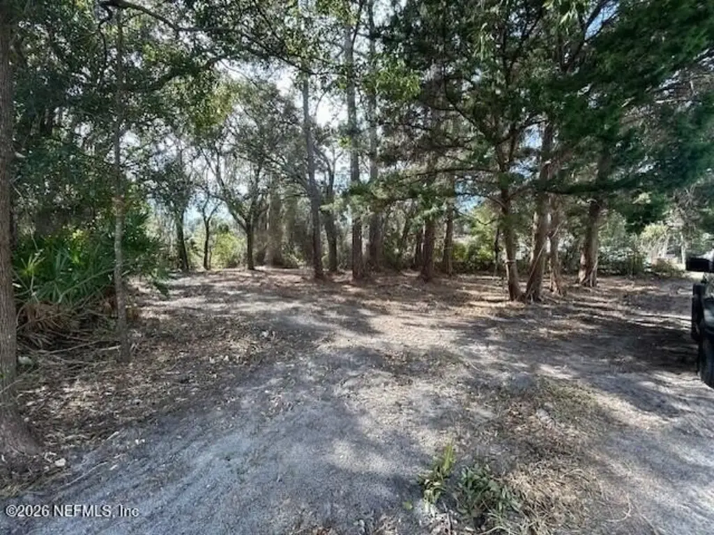 Picture 3