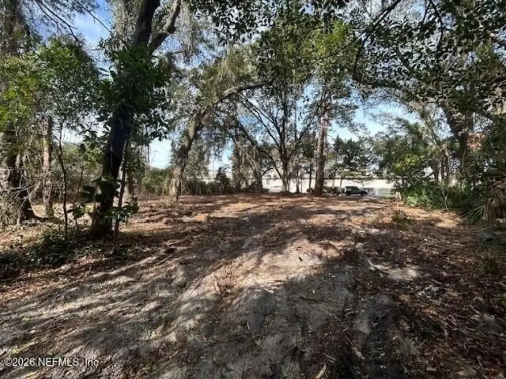 Picture 6