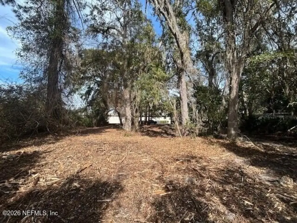 Picture 4