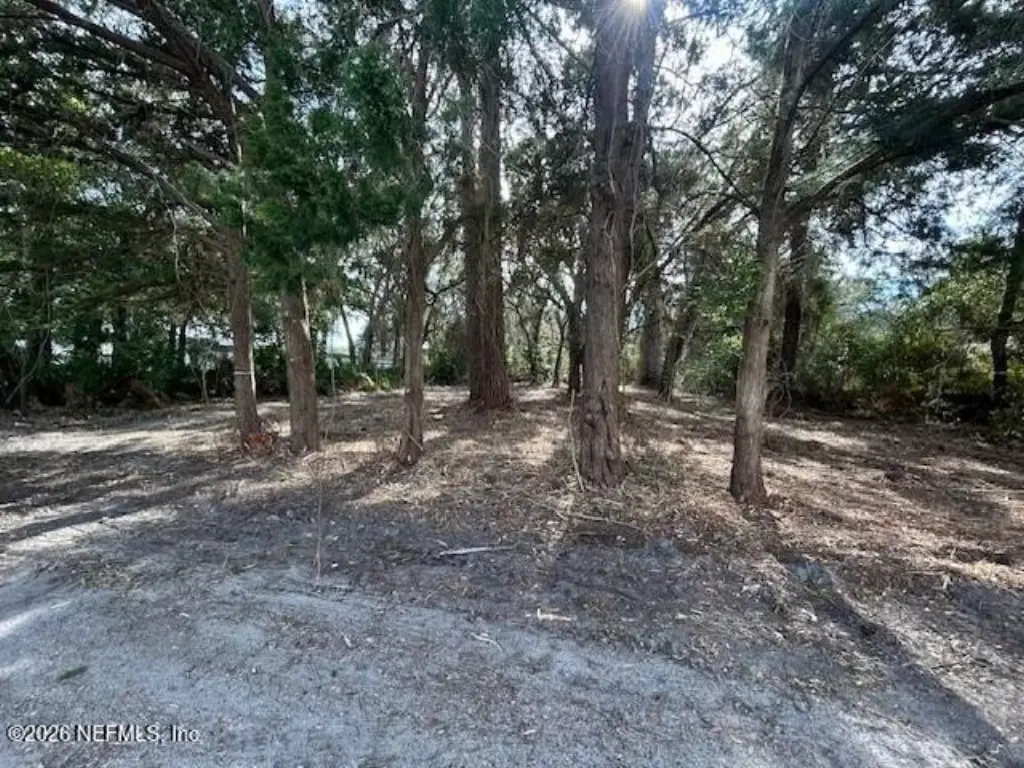 Picture 2