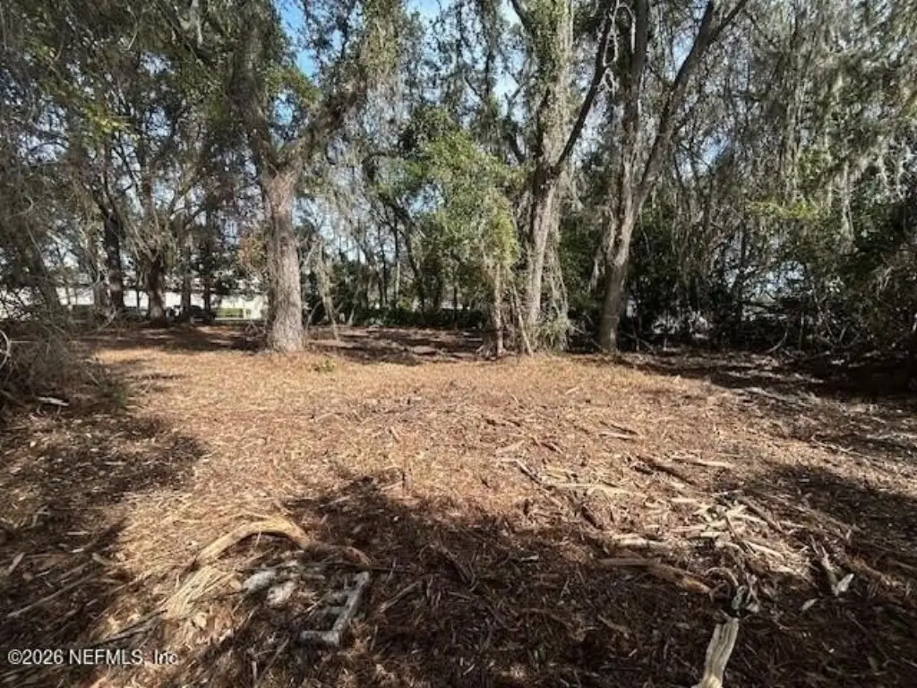 Picture 5