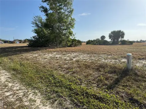 Commercial Land in Cape Coral