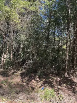 Carthage Lot For Sale