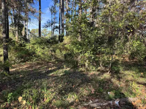 Residential Lot in Longview, TX