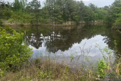 29 Acre Wooded Tract