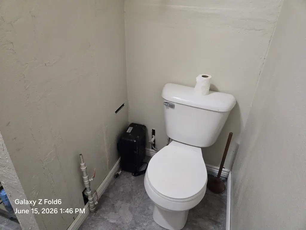Picture 19