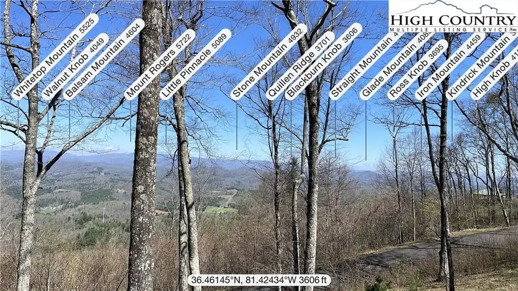 Picture 22