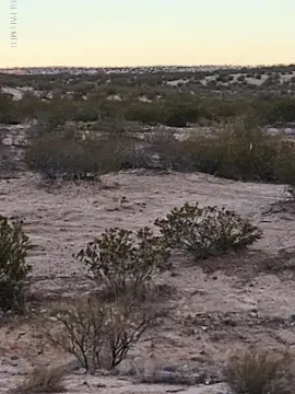 Sierra Blanca Land Investment