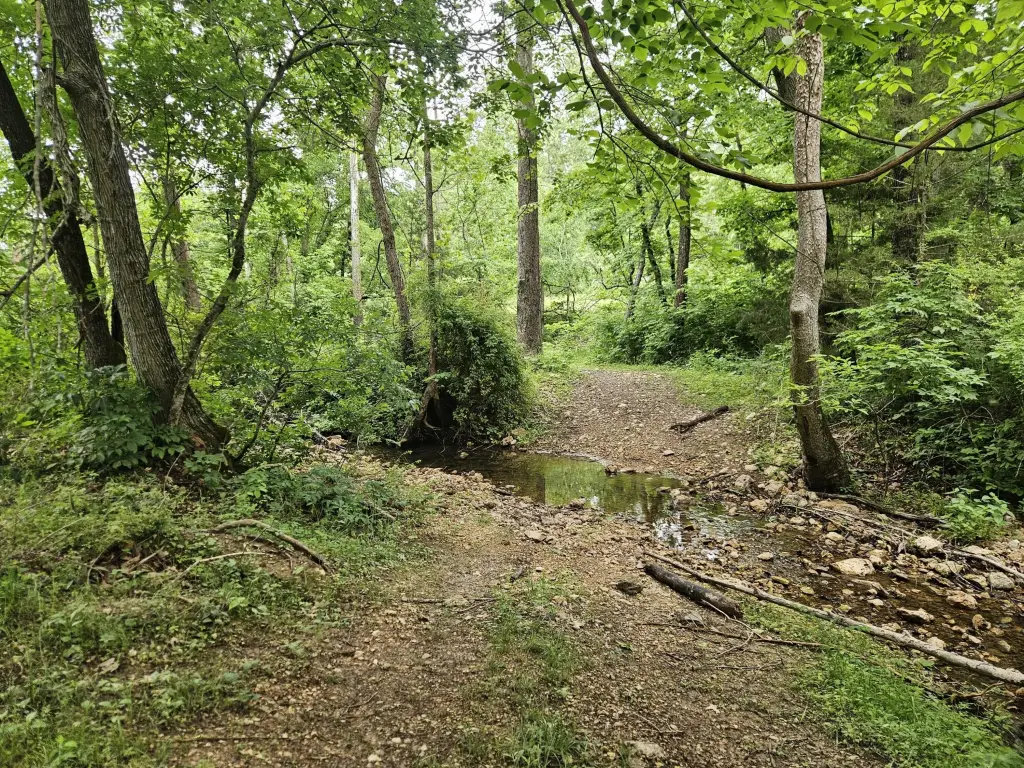 Picture 19