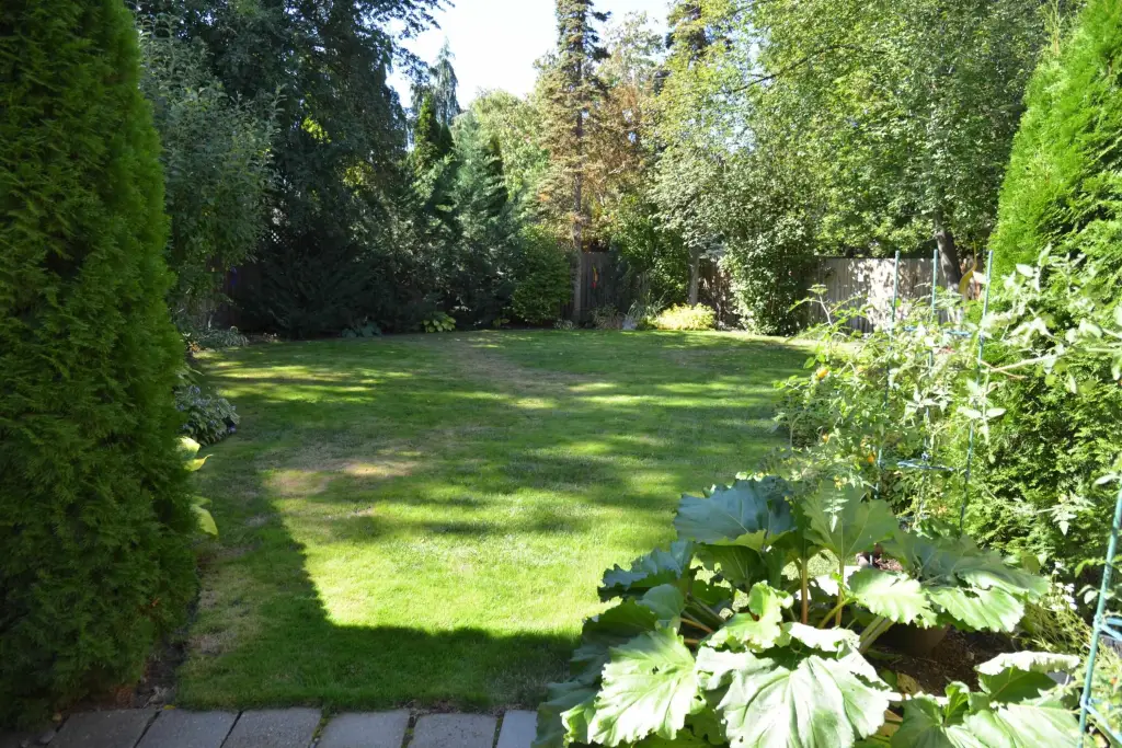 Picture 30