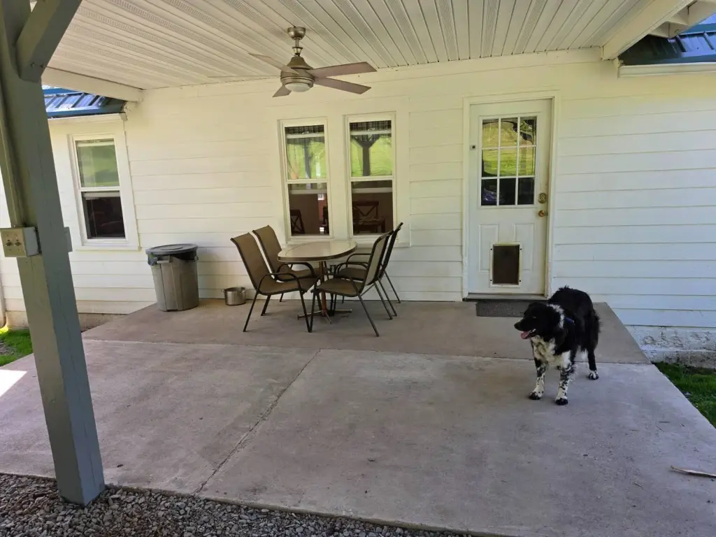 Picture 18
