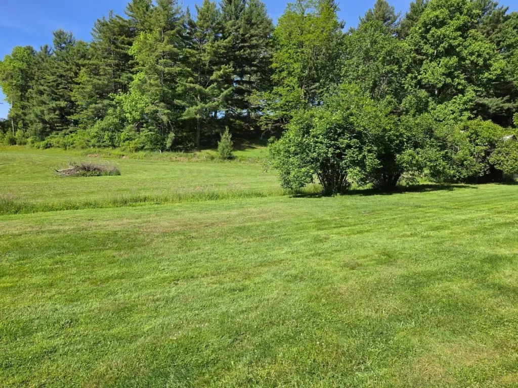 Picture 26