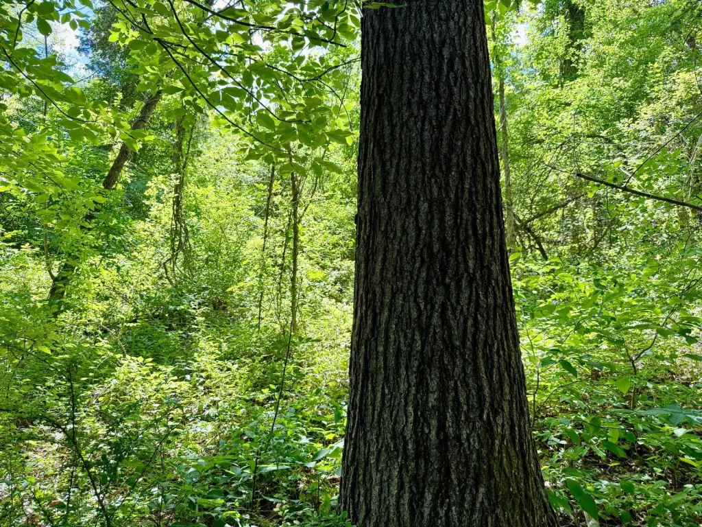 Picture 30