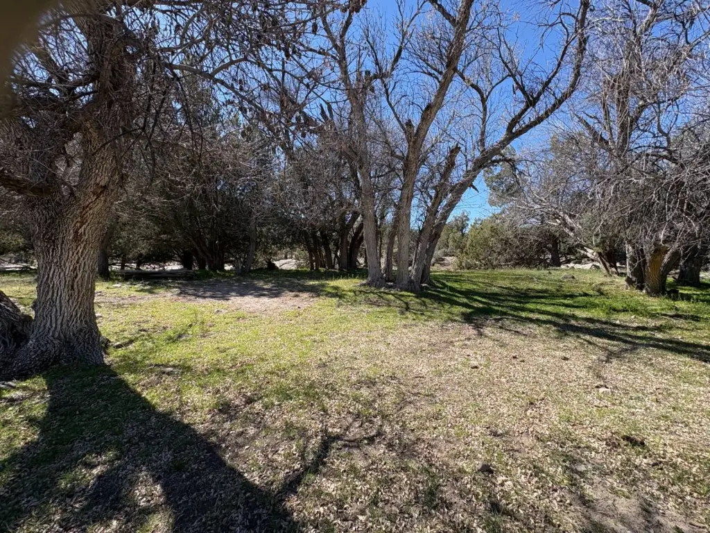 Picture 27