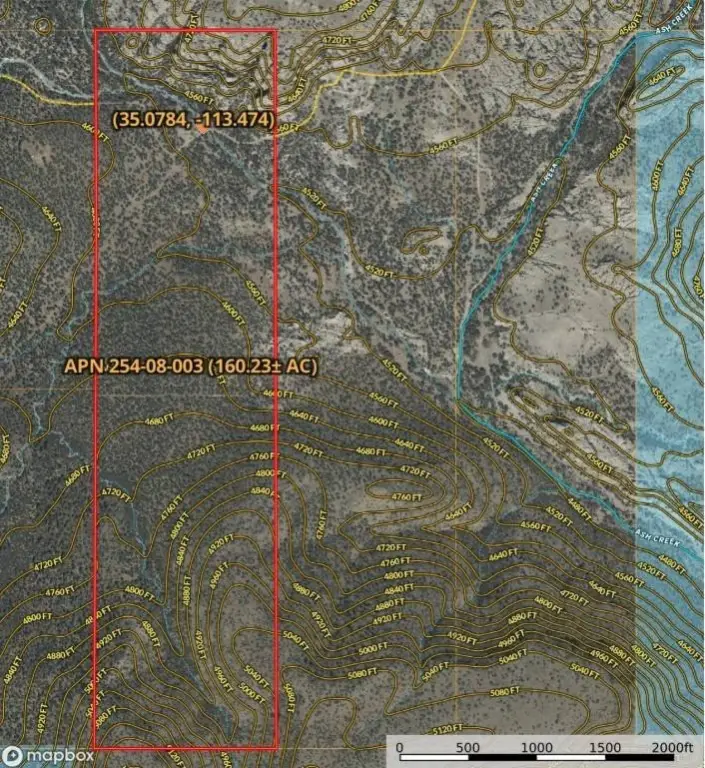 Picture 7