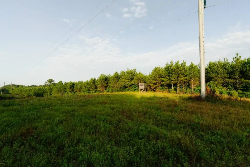 Picture 21