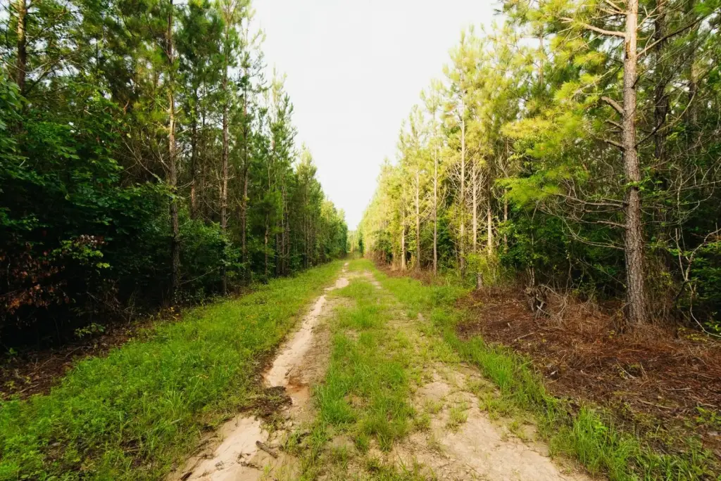 Picture 19