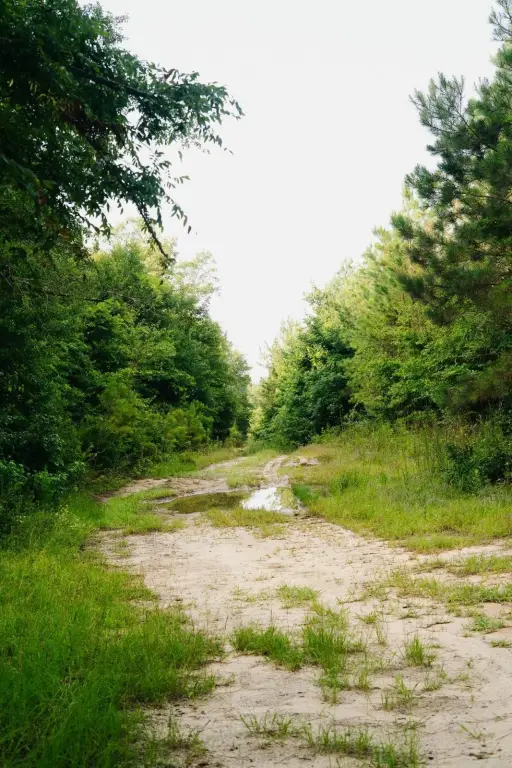 Picture 26