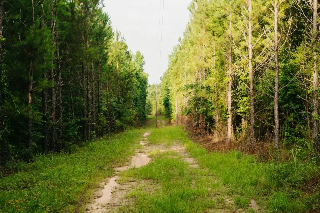 Picture 23