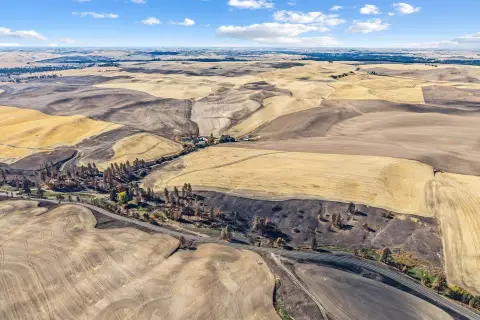 Palouse Farmland