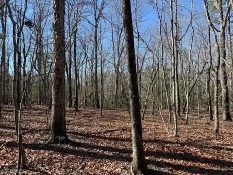 Land Backing Uwharrie National Forest