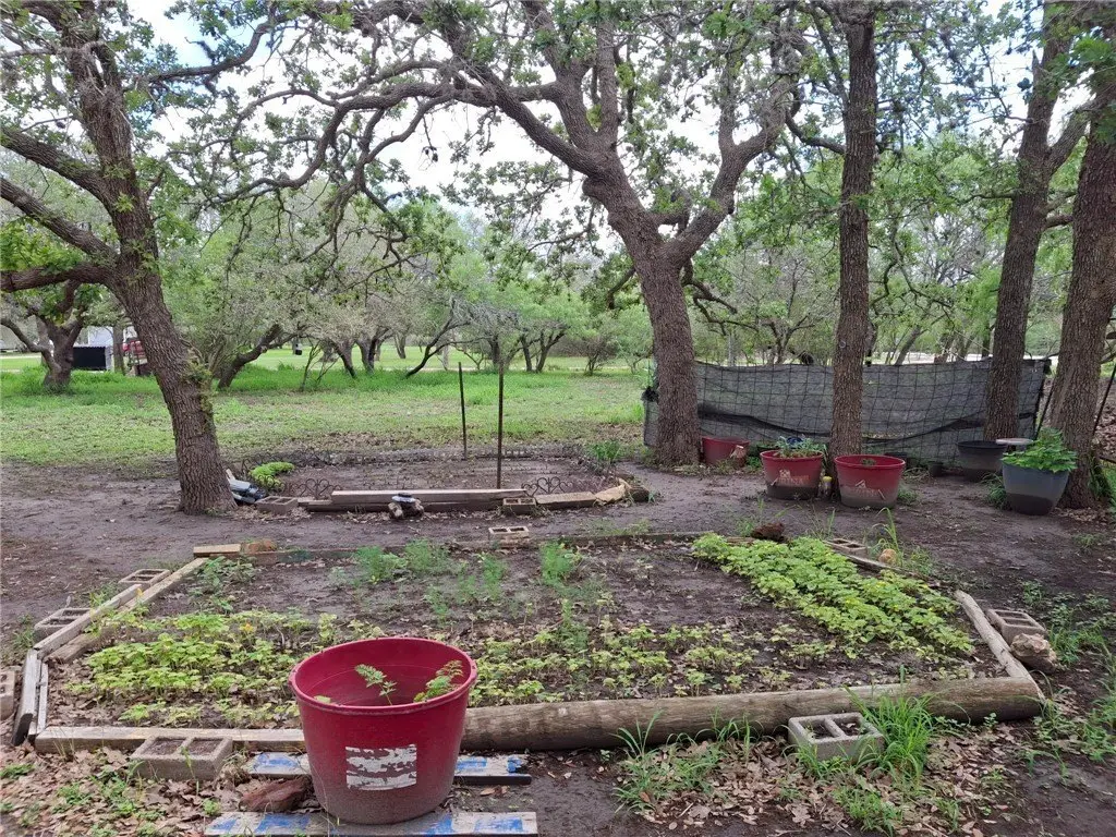 Picture 19