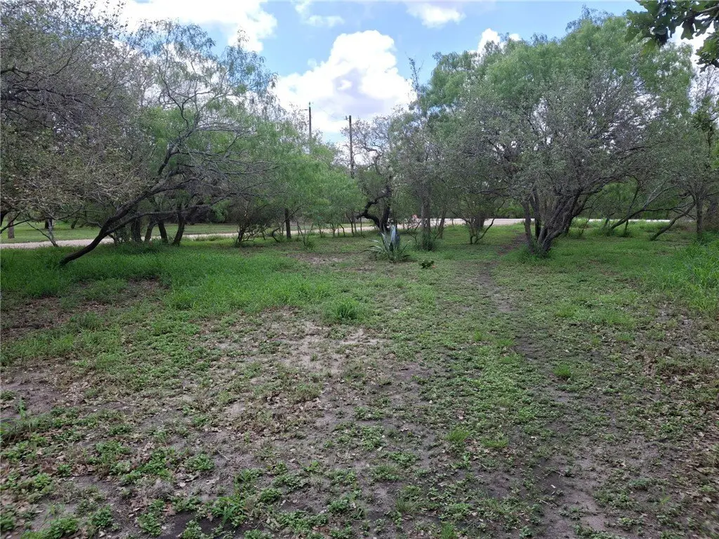 Picture 6