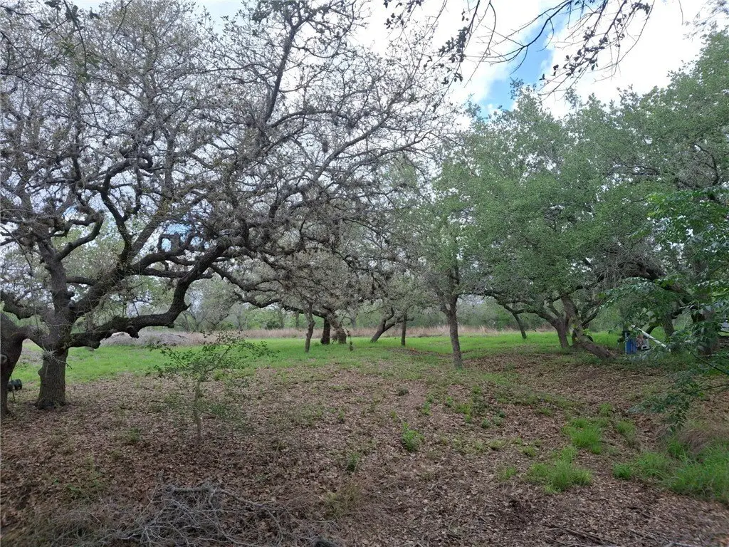 Picture 17