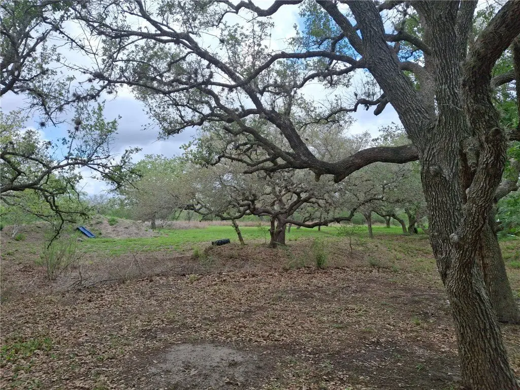 Picture 14