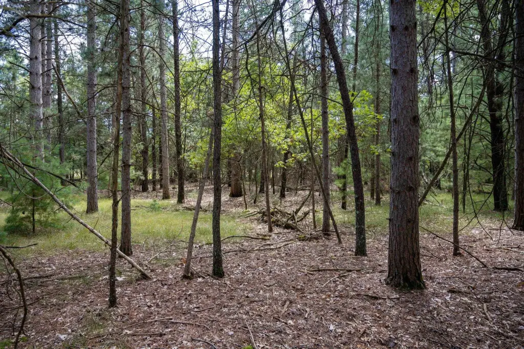 Picture 38