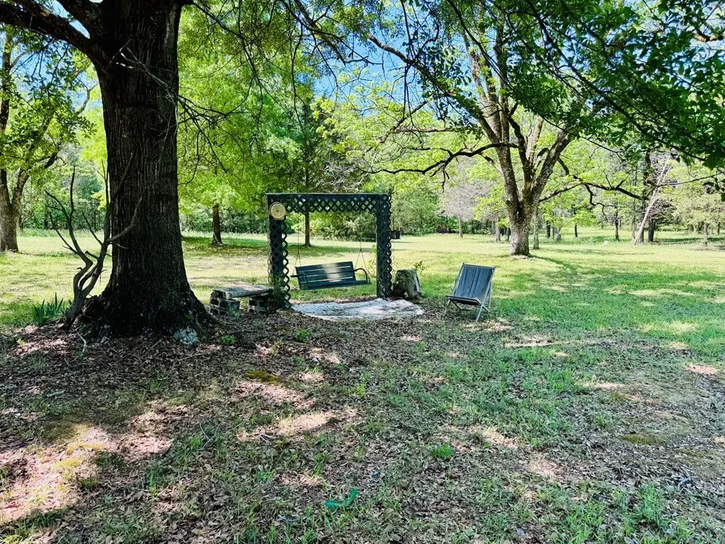 Picture 19