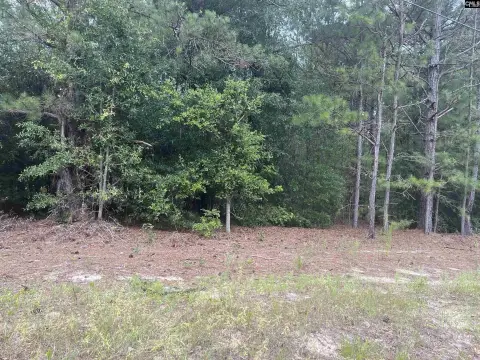 Unrestricted Wooded Acreage Homesite Potential
