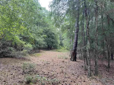 Unrestricted Acreage Ideal Homesite