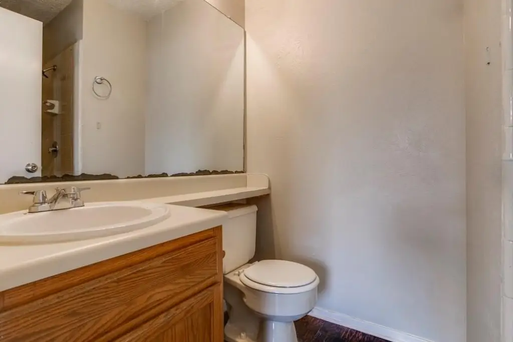 Picture 11