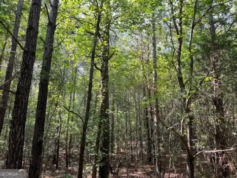 Wooded Hunting Land