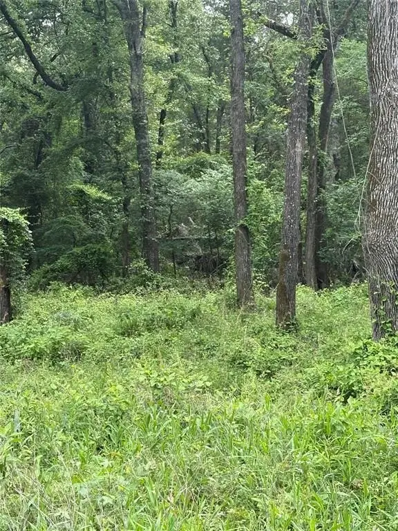 Picture 4