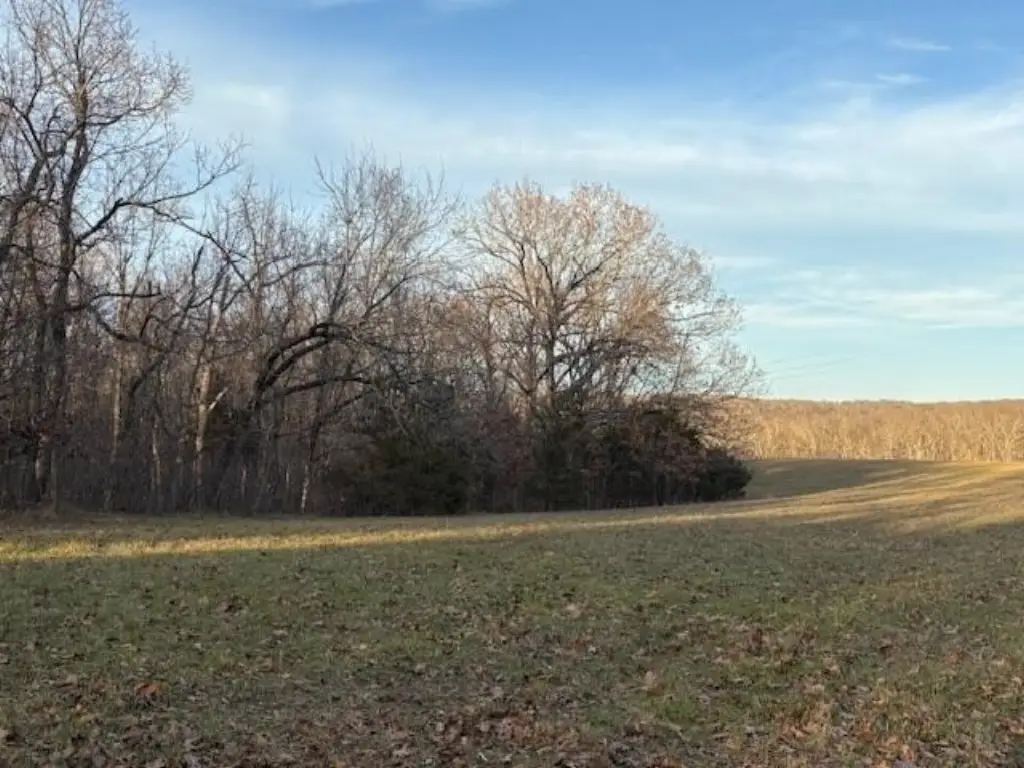 Picture 18