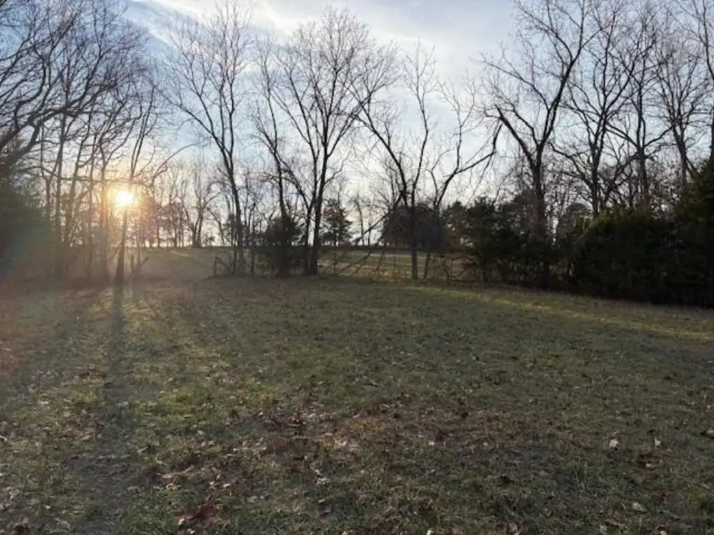 Picture 21