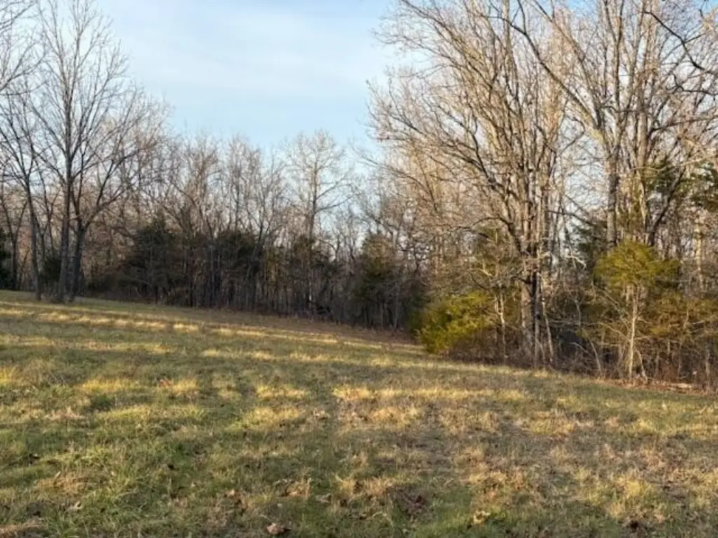 Picture 17