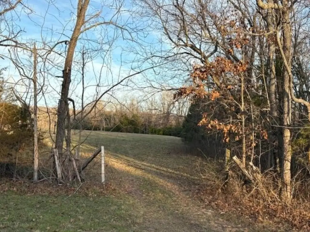Picture 16