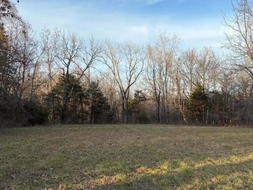 Picture 15