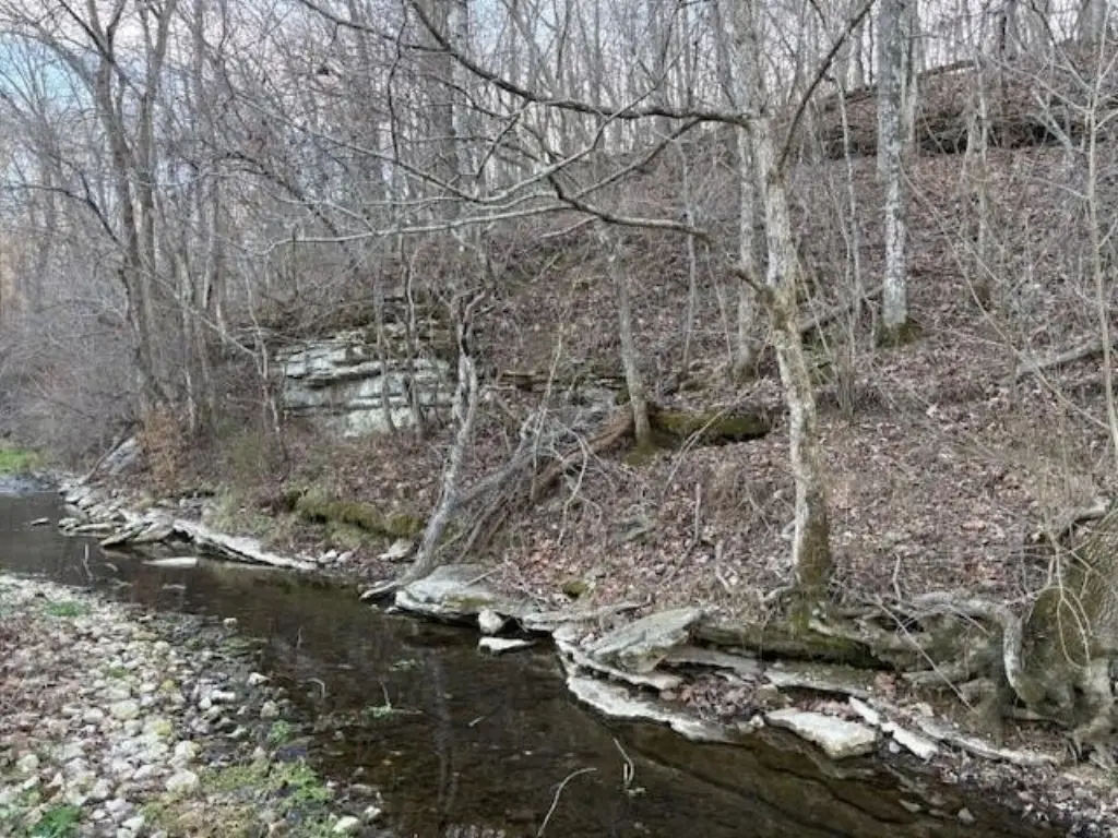 Picture 10