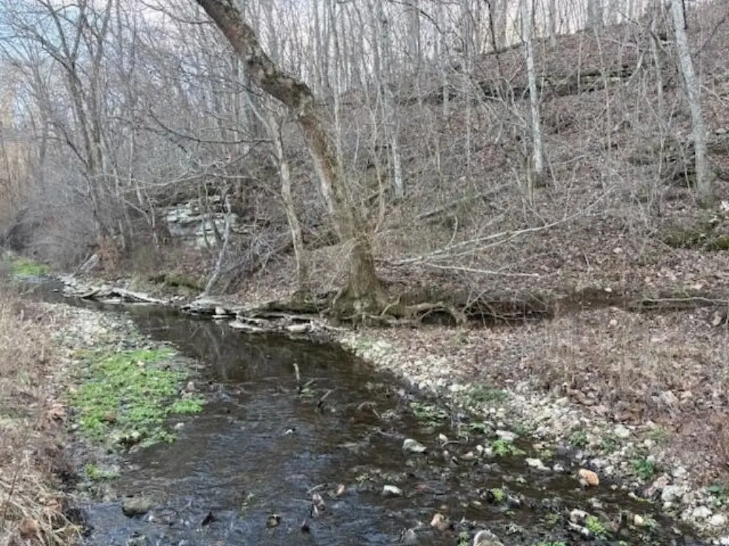 Picture 4