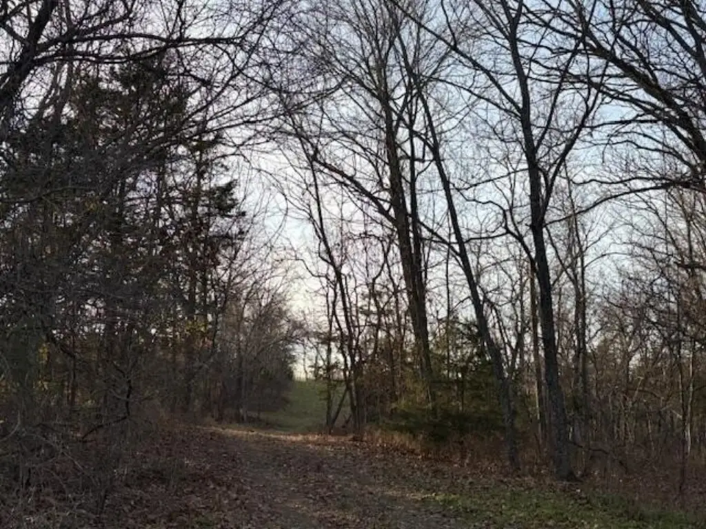 Picture 7