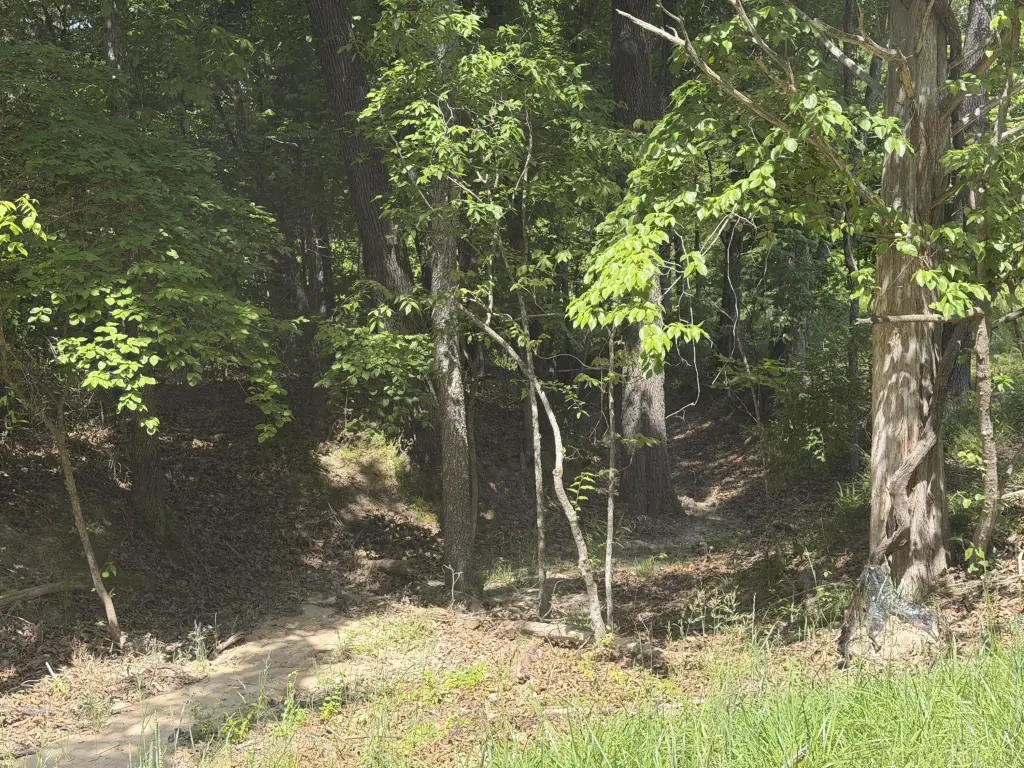Picture 25