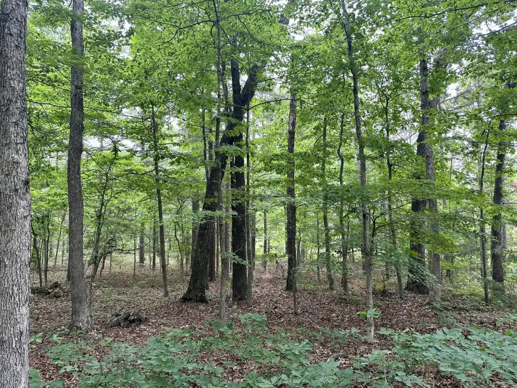 Picture 15