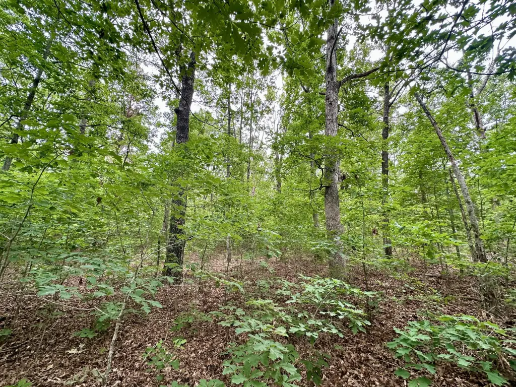 Picture 27