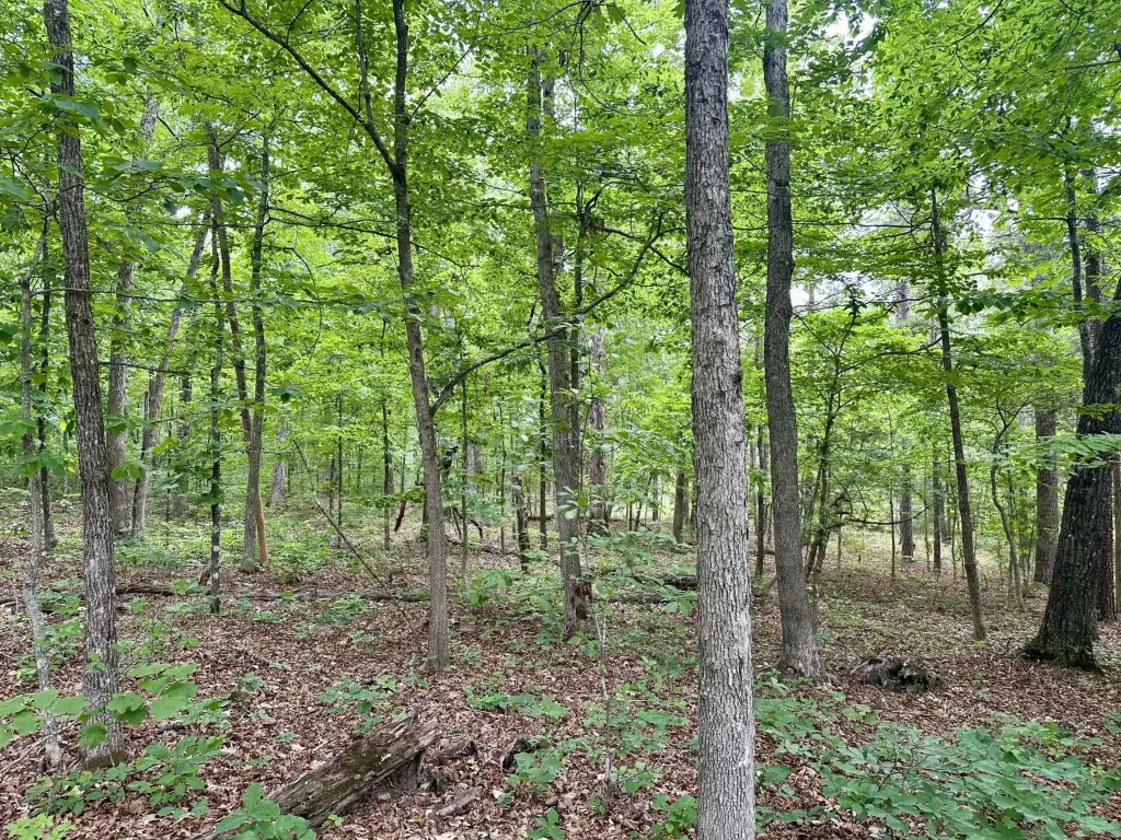 Picture 16