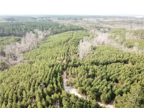 Pine Plantation Recreation Tract
