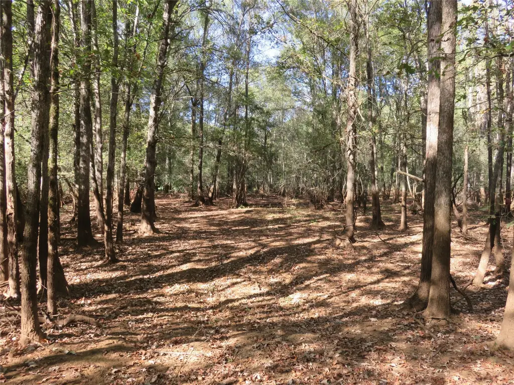 Picture 28